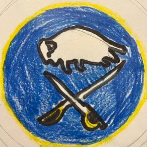 2020-now Sabres logo Amelia Caccamise 13 years old , Buffalo NY