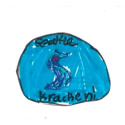 Let’s Go Kraken!