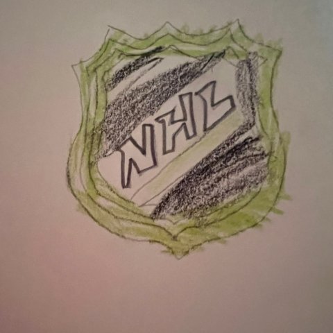 NHL logo, Brody McCrummen, Rockwall, TX, age 7