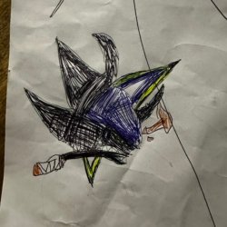 The sharks. Oliver Jacob age 7, channahon.