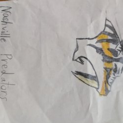 Nashville Predators , Athens OH 11 years old