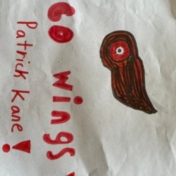 Let’s Go Wings!! Beau Rahn, Age:9, Sylvania-OH