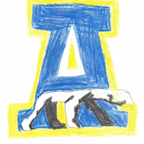 Alaska Nanooks! Teddy Biebuyck, Crested Butte, Colorado. Age 8