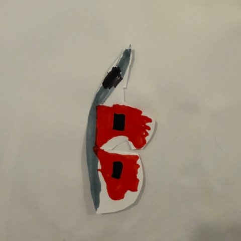 Carolina Hurricanes, James Kelly age 7, Darien, CT