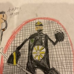 Bruins Hockey Goalie