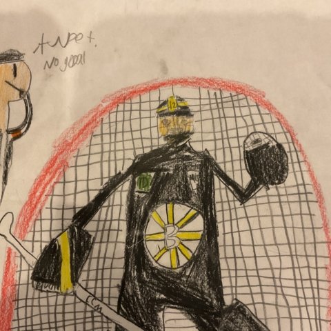 Bruins Hockey Goalie