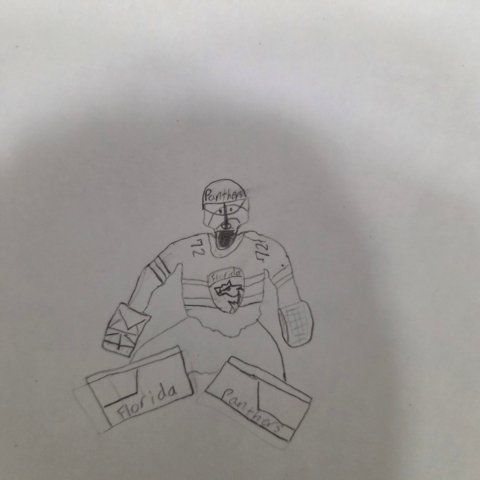 Panters goalie, weyauwega wisconsin,10