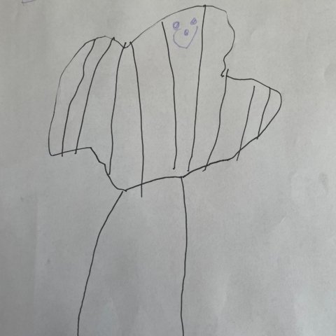 Referee, Orono, Maine, Emery 4 years old