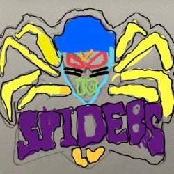 #10 D SPIDERS CNA 10u-1, Las Vegas, age 10