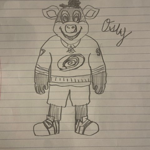 Oink Oink, Osley Crawford, Age 12, Gibsonville, NC