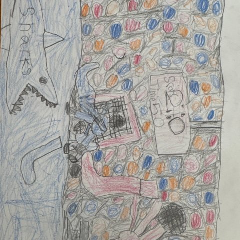 Hockey Stars, Erie Colorado, Teddy Sneddon, age 6