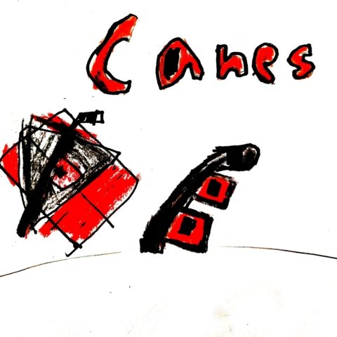 Carolina Hurricanes – Oaken age 7