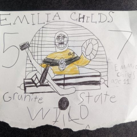 Granite State Wild Goalie Dover, NH Age 11