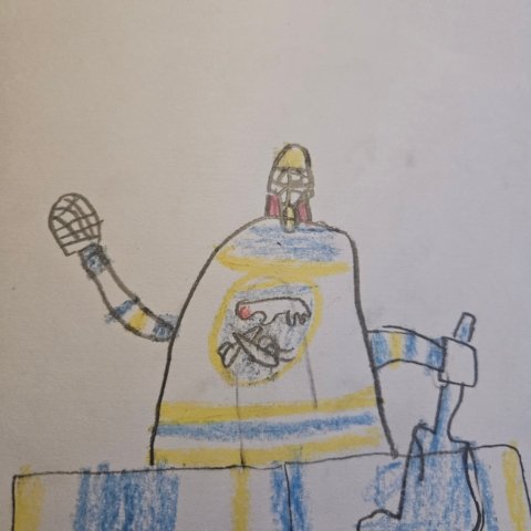 Sabres Goalie