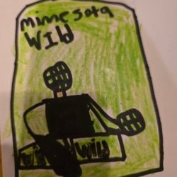 MN Wild