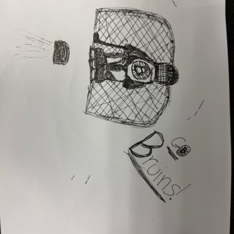 Swayman in action by Bruin Cowan, age 8, Scottsdale AZ