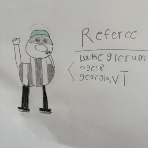 Referee, Georgia, VT, Age 8