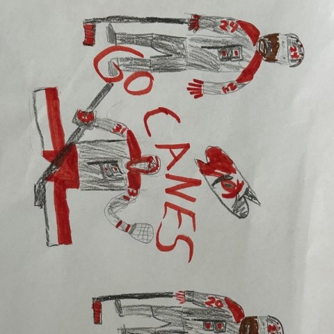 Go Canes! Raleigh, NC, Age 6