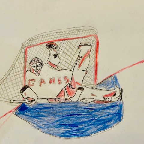 Let’s Go Canes! Cambridge Cobb, Raleigh NC, 10 years