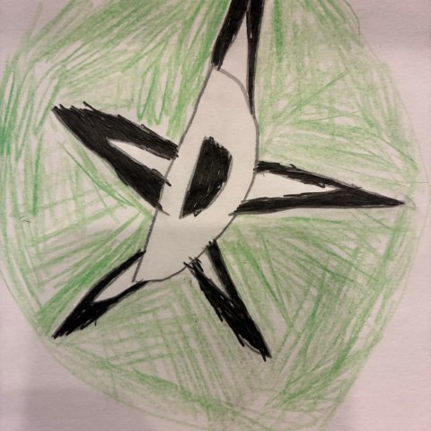 “Go Dallas Stars” Jake Hardy, Age 9, Tulsa OK