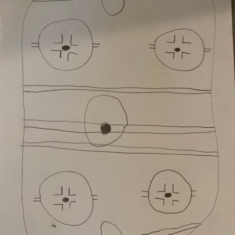 Ice Rink; Cypress, CA; Age 9