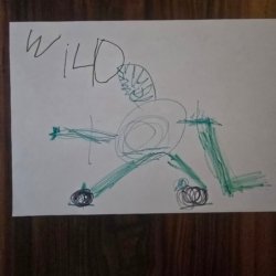 Wild Hockey, Brewer, Madison, WI, 5