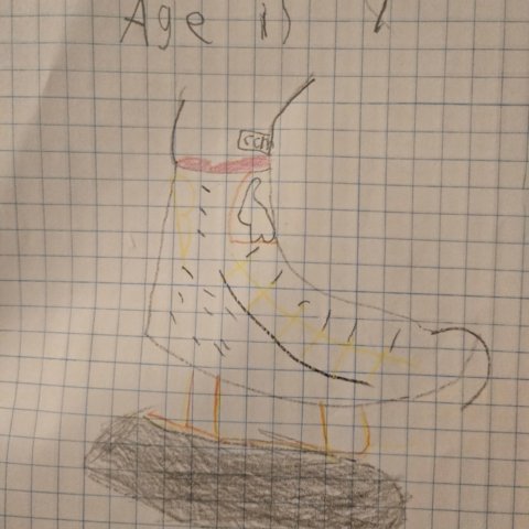 North Andover, MA age 7