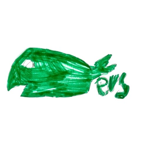 Whalers. Raleigh, North Carolina. Age 7.