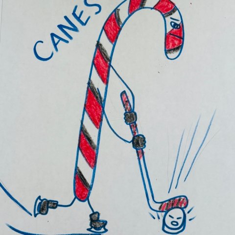 Go Canes, Raleigh, North Carolina, age 7