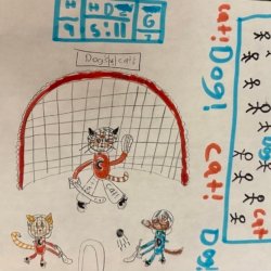 Rivals. Hudson, WI. Age 9.