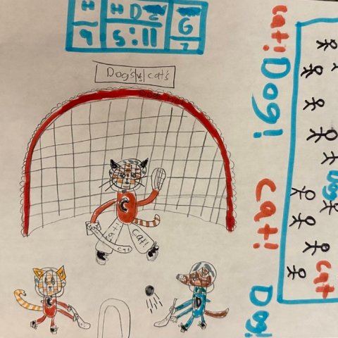 Rivals. Hudson, WI. Age 9.