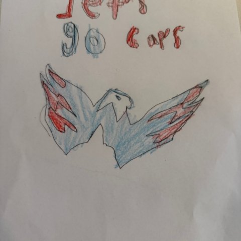 Let’s Go Caps! West Springfield, VA, 8