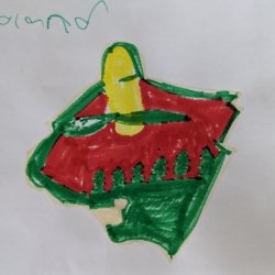 The MN Wild