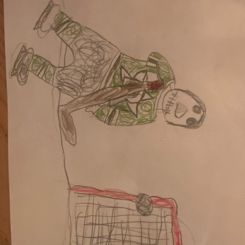 Phantom Player , Leo Taherzadeh . Dallas TX Age 9