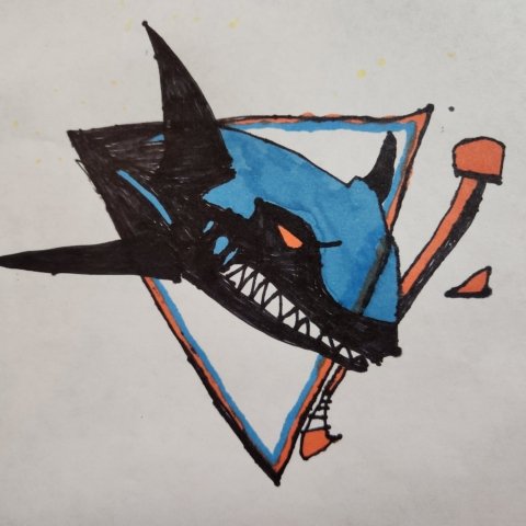 Shark Attack, Jackson Junttila, Bemidji MN, 7 years old