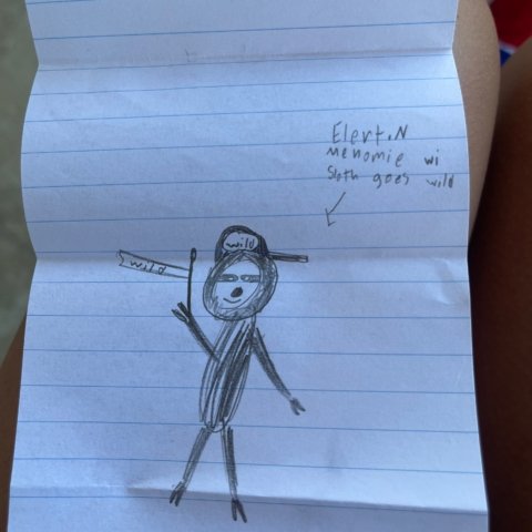 Sloth Goes Wild Elert N age 8 Menomonie WI