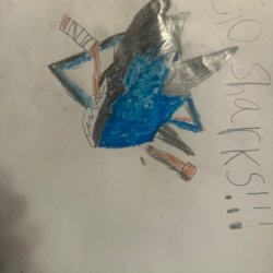 Go Sharks!