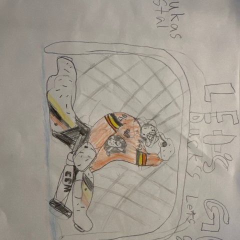 Dostwall, Gavin Casillas, Lemoore Ca Age 9