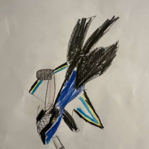 San Jose Sharks, Maverick Casillas, Lemoore Ca, Age 6