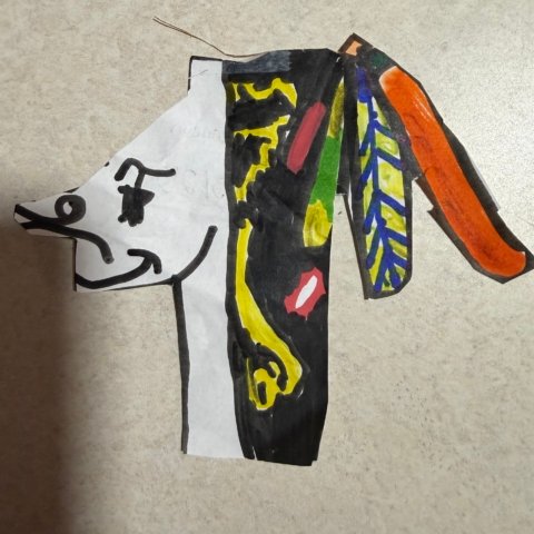 Chicago Blackhawks, Grand Rapids, 8 years old