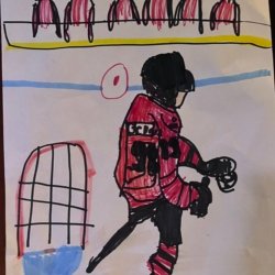 Bedard Celly, Westyn Demke Plainfield, Il 8 years old