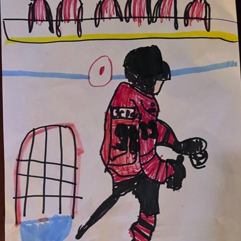 Bedard Celly, Westyn Demke Plainfield, Il 8 years old