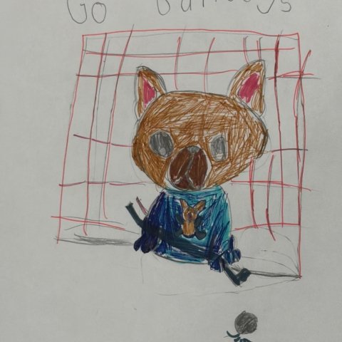 Bulldogs Hockey, Chicago, IL