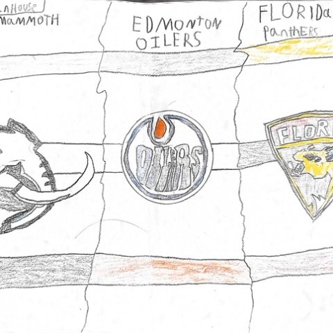 My favorite Teams. Gage Vanhouse, Silver Bay, MN, 9