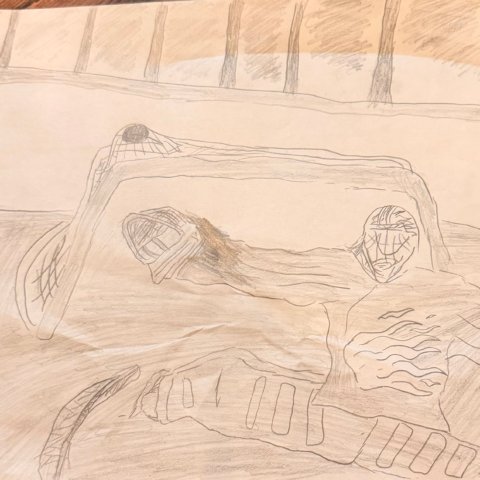 Dominic Tabb- Naperville Illinois, Age:8