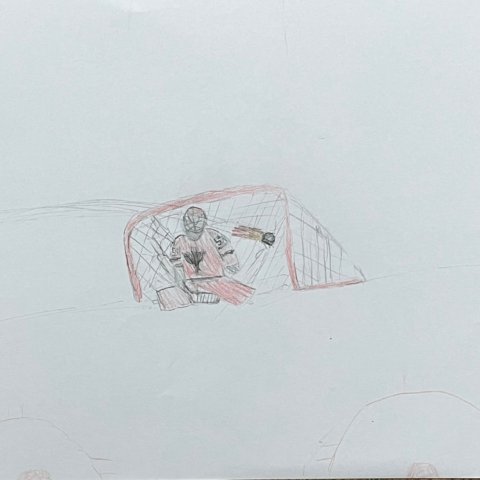 Jack Hughes scoring the winning goal,Jason Seo, Peninsula OH, Age:8