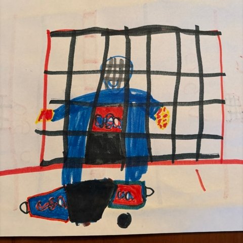 USA Hockey, Blaine MN Age 6