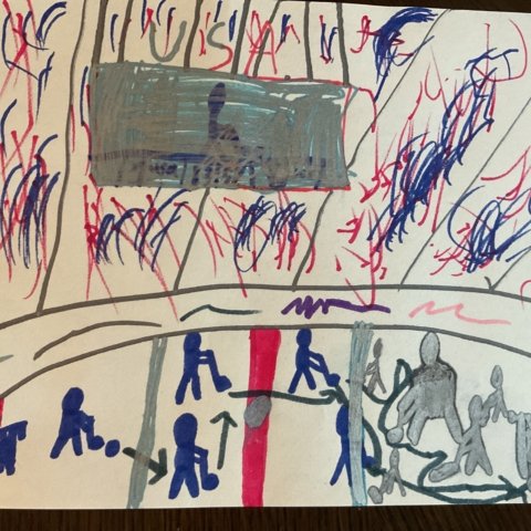 Go USA 🇺🇸 hockey! Raleigh, NC 8 years old