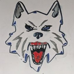 Love for the Fairbanks Ice Dogs!! Marshall MN, age 7