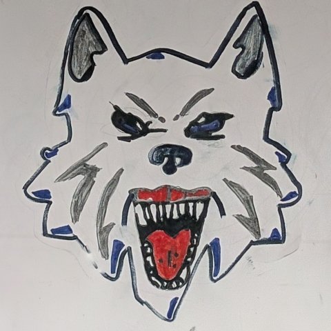 Love for the Fairbanks Ice Dogs!! Marshall MN, age 7